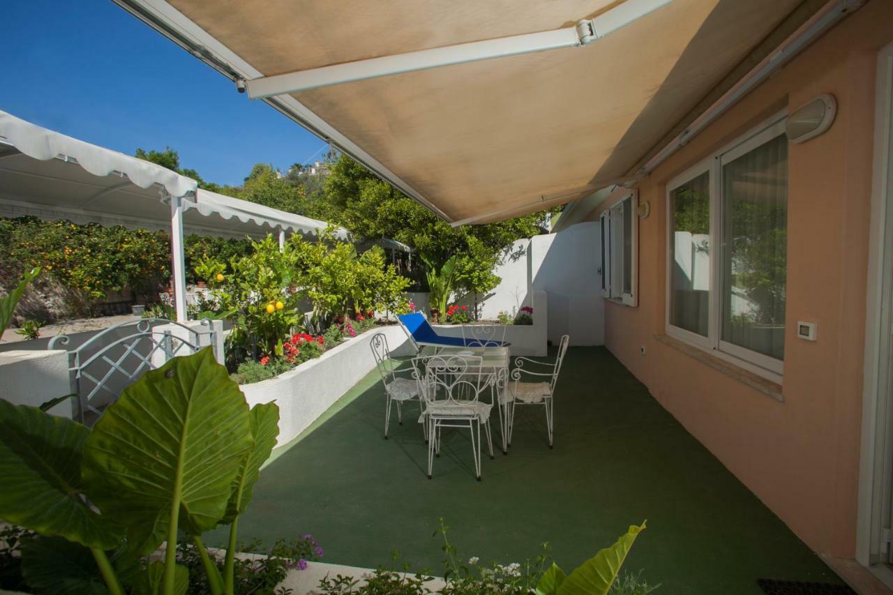 Casina Reale Ischia Villa Eksteriør billede